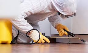 Best Real Estate Pest Inspections  in Plumsteadville, PA